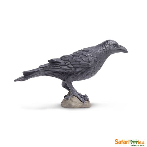 Safari Ltd Raven (Wings of the World Birds) 150829 can be purchased online and in any of our toy shops in South Africa