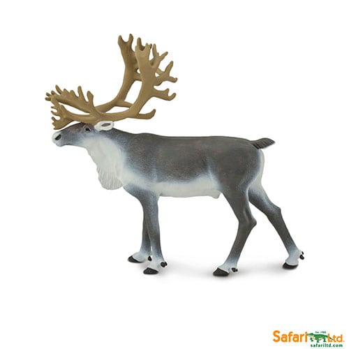 Safari Ltd Caribou (Wild Safari North American Wildlife) 182229 cana be purchased online and in any of our toy shops in South Africa