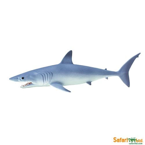 Safari Ltd Mako Shark (Wild Safari Sea Life) can be purchased online and in any of our toy shops in South Africa