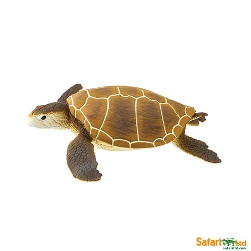 Safari Ltd Green Sea Turtle (Wild Safari Sea Life) 202329 can be purchased online and in any of the Playtoys toy shops in South Africa