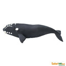 Safari Ltd Right Whale (Wild Safari Sea Life) 204229 can be purchased online and in any of our toy shops in South Africa