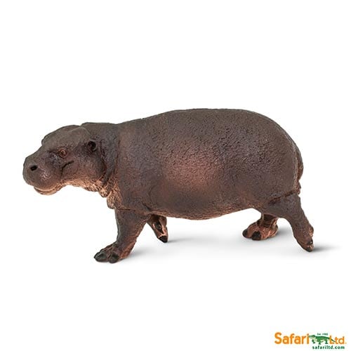 Safari Ltd Pygmy Hippo ( Wild Safari Wildlife) 229229 can be purchsed online and in any of our toy shops in South Africa