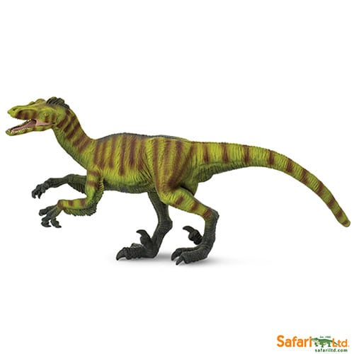 Safari Ltd Velociraptor (Great Dinos) 30001 can be purchased online and in any of our toy shops in South Africa