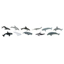 Safari Ltd Whales & Dolphins Toob 694704 can be purchased online and in any Playtoys toy shop in South Africa