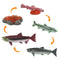 Safari Ltd Safariology Life Cycle Of A Salmon can be purchased online and in any of the Playtoys toy shops in south Africa