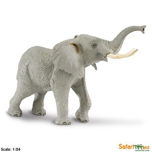 Safari Ltd African Elephant (Wildlife Wonders) 111089 can be purchased online and at any of our toy shops in South Africa