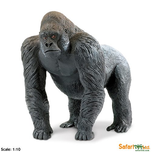 Safari Ltd Silverback Gorilla (Wildlife Wonders) 111589 can be purchased online and in any of our toy shops in South Africa