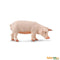 Safari Ltd Sow (Safari Farm) 161029 can be purchased online and in any Playtoys toy shop in South Africa