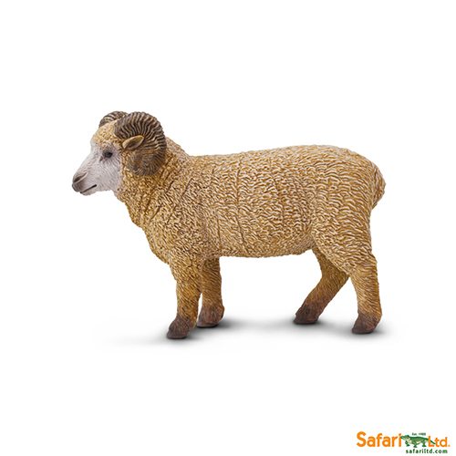 Safari Ltd Ram (Safari Farm) 161429 can be purchased online and in any of our toy shops in South Africa