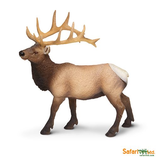 Safari Ltd Elk Bull (Wild Safari North American Wildlife) 180329 can be purchased online and in any of our toy shops in South Africa