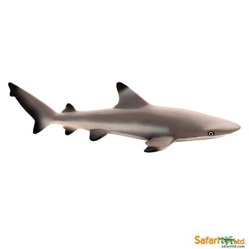 Safari Ltd Blacktip Reef Shark (Wild Safari Sea Life) 200029 can be purchased online and at any of our toy shops in South Africa