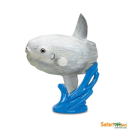 Safari Ltd Sunfish with Stand Set (Wild Safari Sea Life) 200529 can be purchased online and in any of our toy shops in South Africa