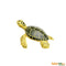 Safari Ltd Green Sea Turtle Baby (Wild Safari Sea Life) 201329 can be purchased online and in any of the Playtoys toy shops in South Africa