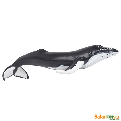 Safari Ltd Humpback Whale (Wild Safari Sea Life) 202029 can be purchased online and in of the Playtoys toy shops in South  Africa