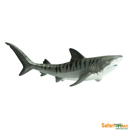 Safari Ltd Tiger Shark (Wild Safari Sea Life) 202229 can be purchased online and in any Playtoys toy shop in South Africa