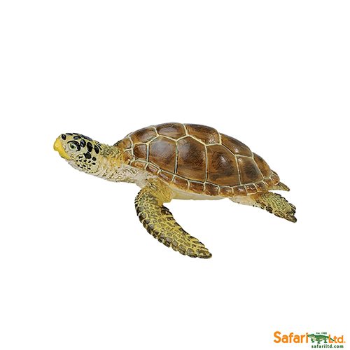 Safari Ltd Loggerhead Turtle (Wild Safari Sea Life) 220229 can be purchased online and in any Playtoys toy shop in South Africa