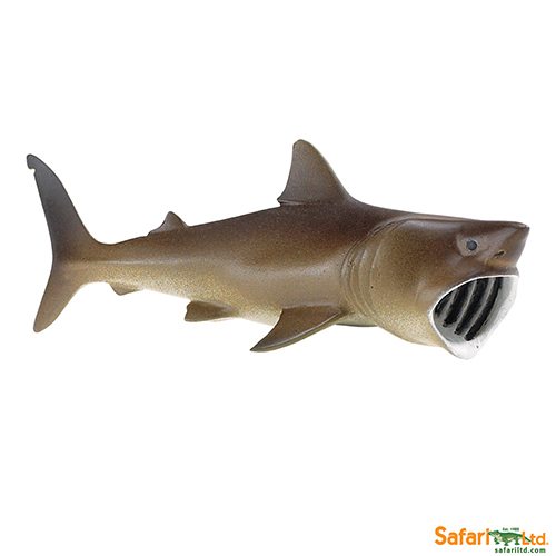 Safari Ltd Basking Shark (Wild Safari Sea Life) 223429 can be purchased online and at any of our toy shops in South Africa