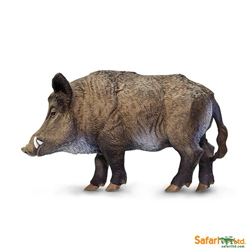 Safari Ltd Boar (Wild Safari) 224229 can be purchased online and in any of our toy shops in South Africa