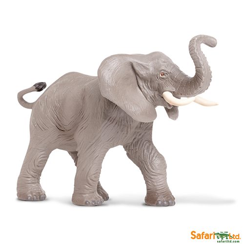 Safari Ltd African Elephant (Wild Safari) 238429 can be purchased online and at any of our toy shops in South Africa