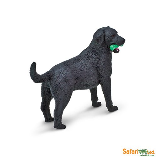 Safari Ltd Black Labrador (Best in Show Dogs) 253429 can be purchased online and at any of our toy shops in South Africa