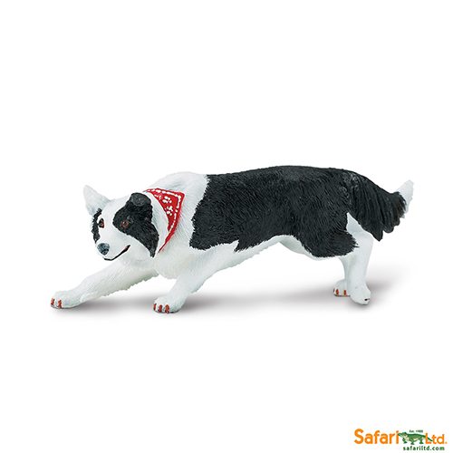 Safari Ltd Border Collie (Best in Show Dogs) 254529 can be purchased online and at any of our toy shops in South Africa