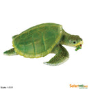 Safari Ltd Kemps' Ridley Sea Turtle can be purchased online and in any of our toy shops in South Africa