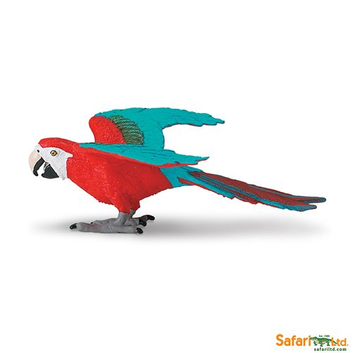 Safari Ltd Green winged Macaw (World Of The World Birds) 263929 can be purchased online and in any of the Playtoys toy shops in South Africa