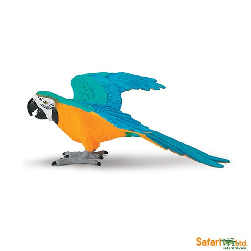 Safari Ltd Blue & Gold Macaw (Wings Of The World Birds) 264029 can be purchased online and at any of our toy shops in South Africa