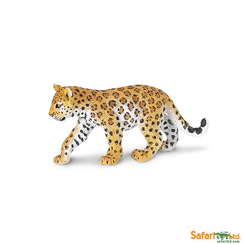 Safari Ltd Leopard Cub (Wild Safari) 271629 can be purchased online and in any of the Playtoys toy shops in south Africa