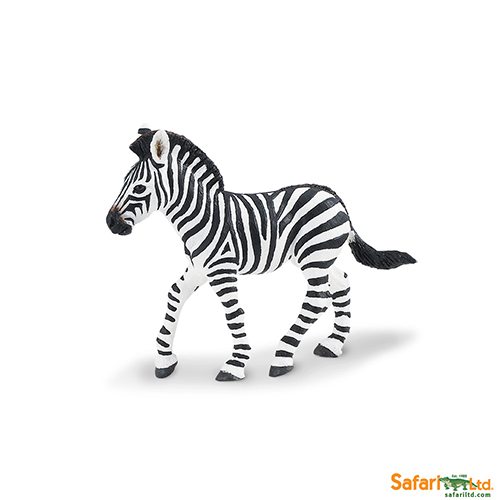 Safari Ltd Zebra Foal (Wild Safari) 271829 can be purchased online and at any of our toy shops in South Africa