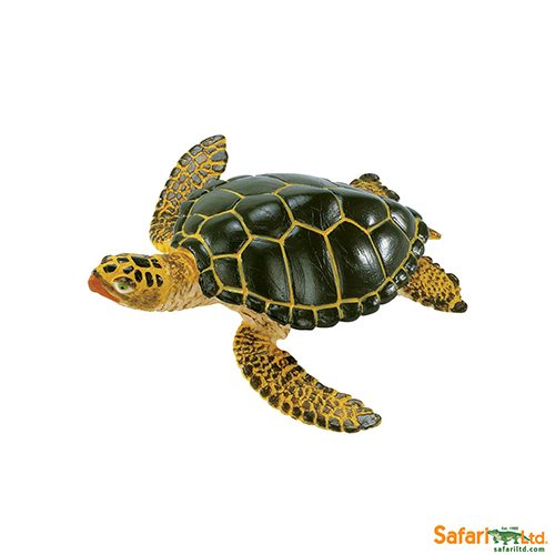 Safari Ltd Green Sea Turtle (Wild Safari Sea Life) 274329 can be purchased online and in any of the Playtoys toy shops in South Africa