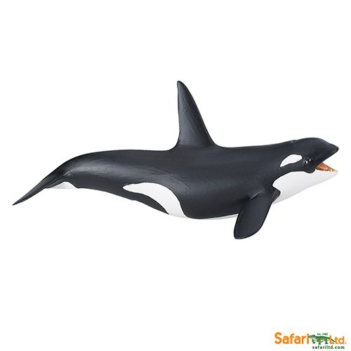 Safari Ltd Killer Whale (Wild Safari Sea Life)  available  online and in our South Africa toy shops