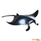 Safari Ltd Manta Ray (Wild Safari Sea Life) can be purchased online and in any of our toy shops in South Africa