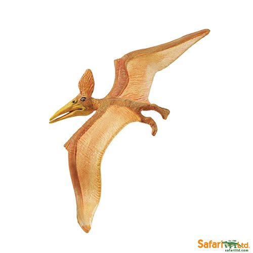 Safari Ltd Pteranodon (Wild Safari Prehistoric World) 279229