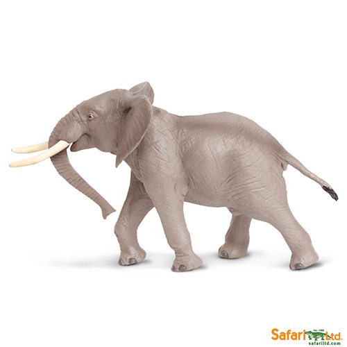 Safari Ltd African Bull Elephant (Wild Safari) 295629 can be purchased online and at any of our toy shops in South Africa