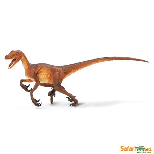 Safari Ltd Velociraptor (Wild Safari Prehistoric World) 299929 can be purchased online and in any of our toy shops in South Africa