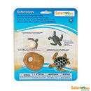 Safari Ltd Life Cycle of a Green Sea Turtle (Life Cycle Series) 662316