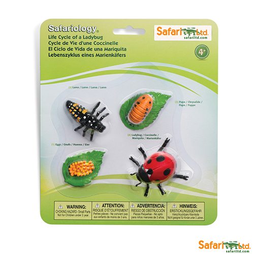 Safari Ltd Life Cycle of a Ladybug (Life Cycle Series) 662716 can be purchased online and in any Playtoys toy shop in South Africa