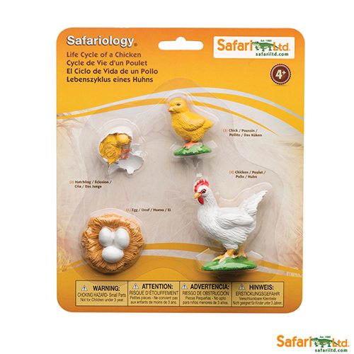 Safari Ltd Life Cycle of a Chicken (Life Cycle Series) 662816 can be purchased online and in any of the Playtoys toy shops in South Africa