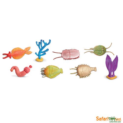 Safari Ltd Cambrian Life Toob 677104 can be purchased online and in any of our toy shops in South Africa