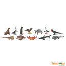 Safari Ltd Galapagos Toob 681704 can be purchased online and in any of the Playtoys toy shops in South Africa