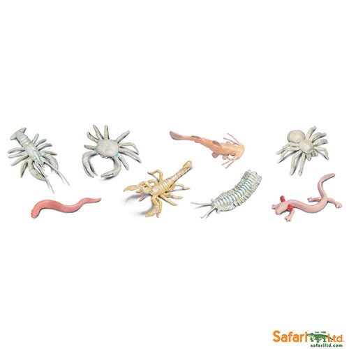 Safari Ltd Cave Dwellers Toob 687804 can be purchased online and in any of our toy shops in South Africa