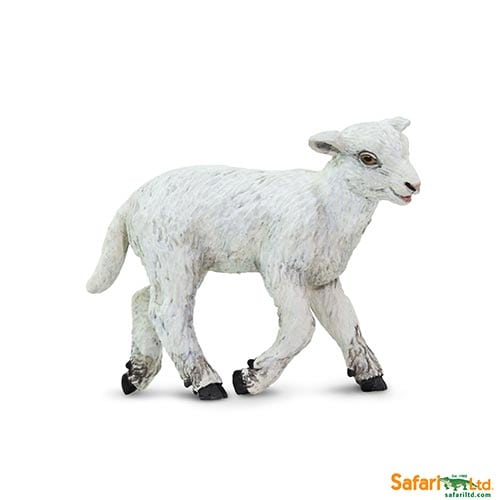 Safari Ltd Lamb part of the Safari Ltd Farm Collection at Playtoys. Shop this Creative toy from our online shop or one of our toy stores in South Africa.