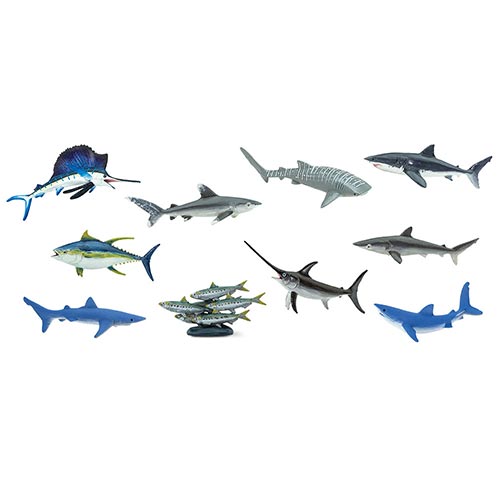 Safari Ltd Pelagic Fish Toob can be purchased online and in any Playtoys toy shop in South Africa