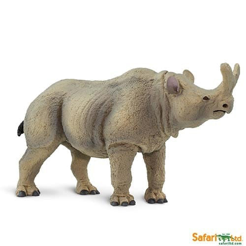 Safrai Ltd Megacerops part of the Safaro Ltd Prehistoric World Collection at Playtoys. Shop this Creative toy from our online shop or one of our toy stores in South Africa.