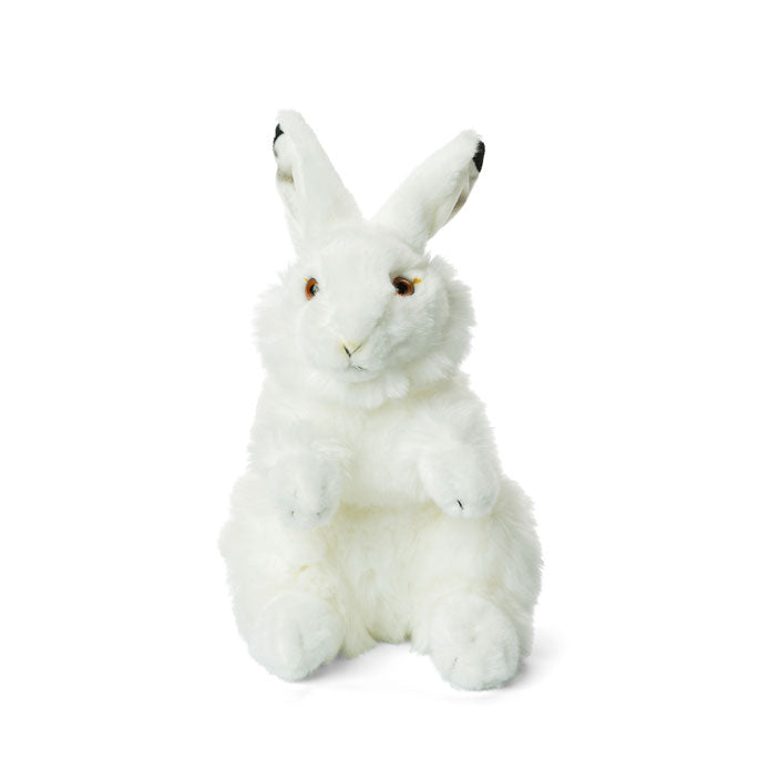 WWF Plush Arctic Hare part of the WWF Plush collection at Playtoys. Shop this toy from our online shop or one of our toy stores in South Africa.